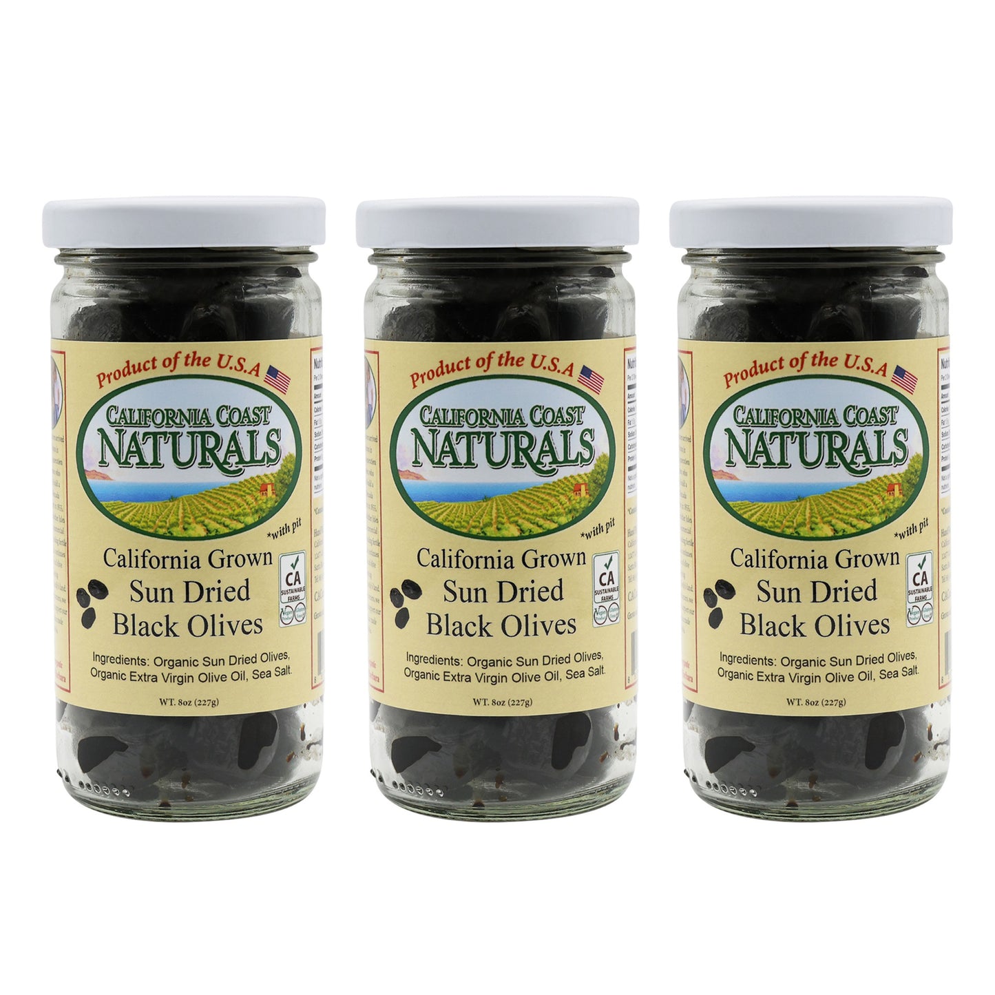 Sun Dried Black 3 Pack